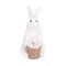 5.91" Easter Bunny Rabbit w/ Flower Floral Flower Basket Decorative Figure Figurine